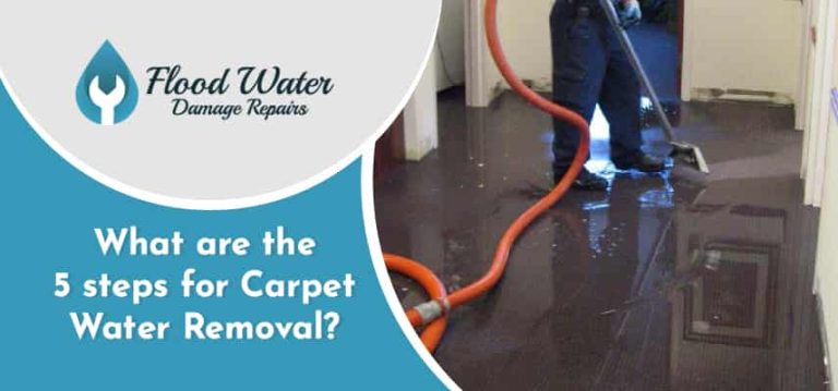 What are the 5 Steps for Carpet Water Removal?
